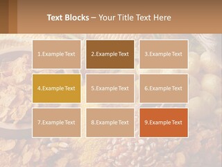 Climate Home House PowerPoint Template