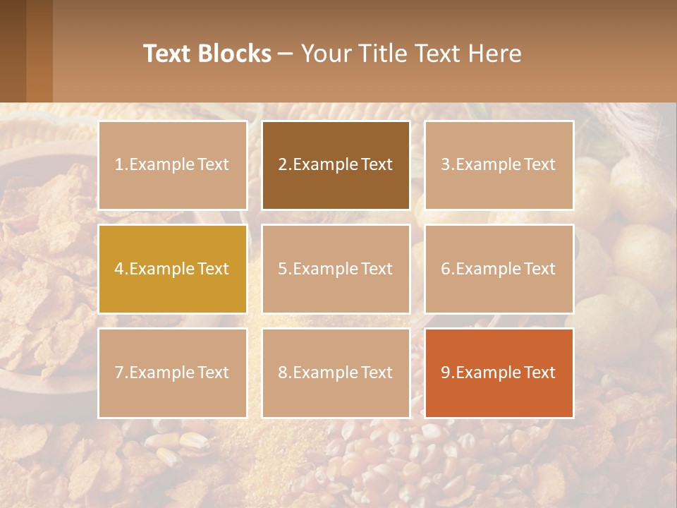 Climate Home House PowerPoint Template