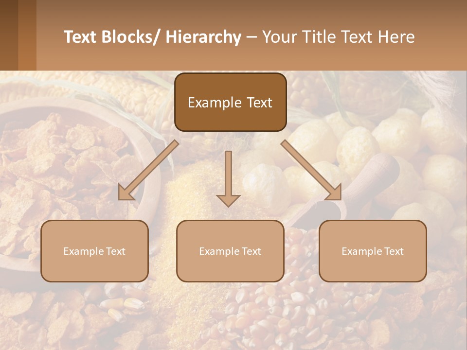 Climate Home House PowerPoint Template