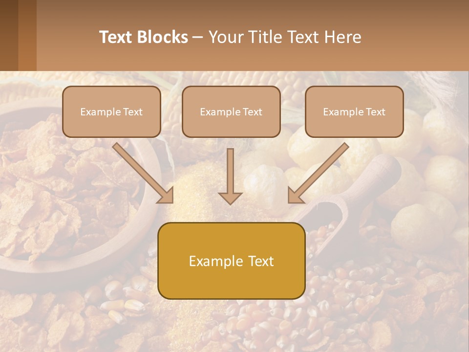 Climate Home House PowerPoint Template
