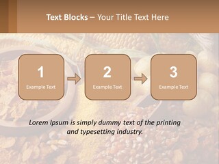 Climate Home House PowerPoint Template