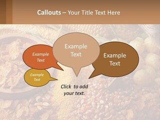 Climate Home House PowerPoint Template