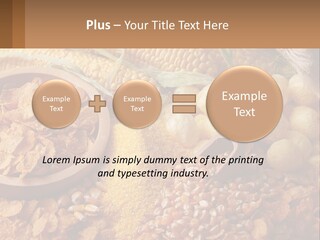 Climate Home House PowerPoint Template