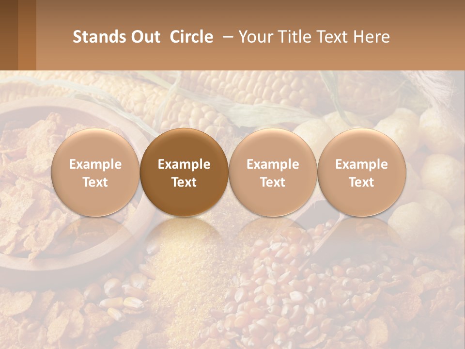 Climate Home House PowerPoint Template