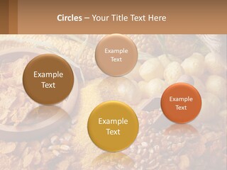 Climate Home House PowerPoint Template