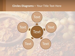 Climate Home House PowerPoint Template