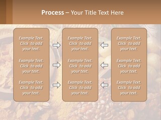 Climate Home House PowerPoint Template