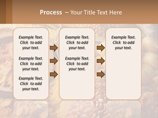Climate Home House PowerPoint Template