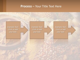 Climate Home House PowerPoint Template