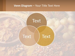 Climate Home House PowerPoint Template