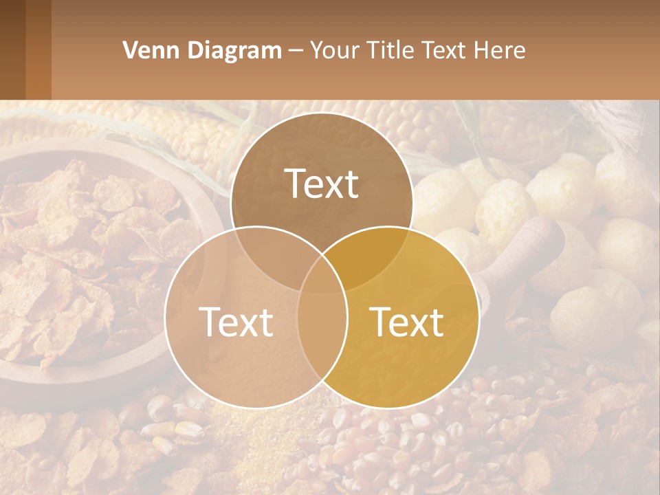 Climate Home House PowerPoint Template