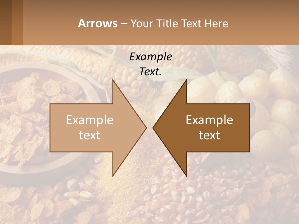 Climate Home House PowerPoint Template