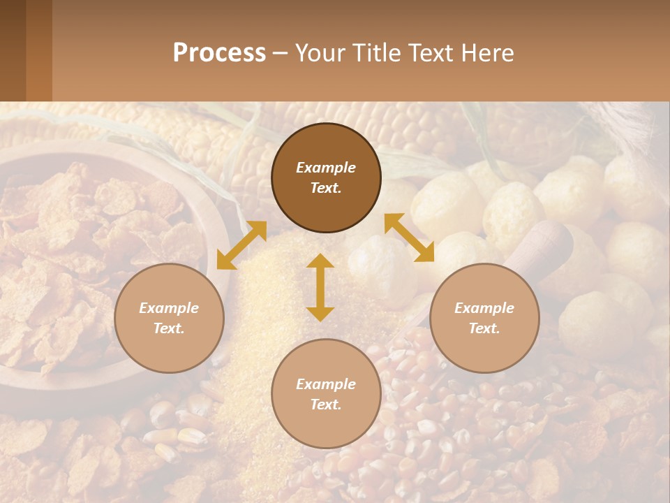 Climate Home House PowerPoint Template