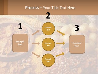Climate Home House PowerPoint Template