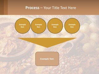 Climate Home House PowerPoint Template