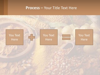 Climate Home House PowerPoint Template