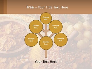 Climate Home House PowerPoint Template