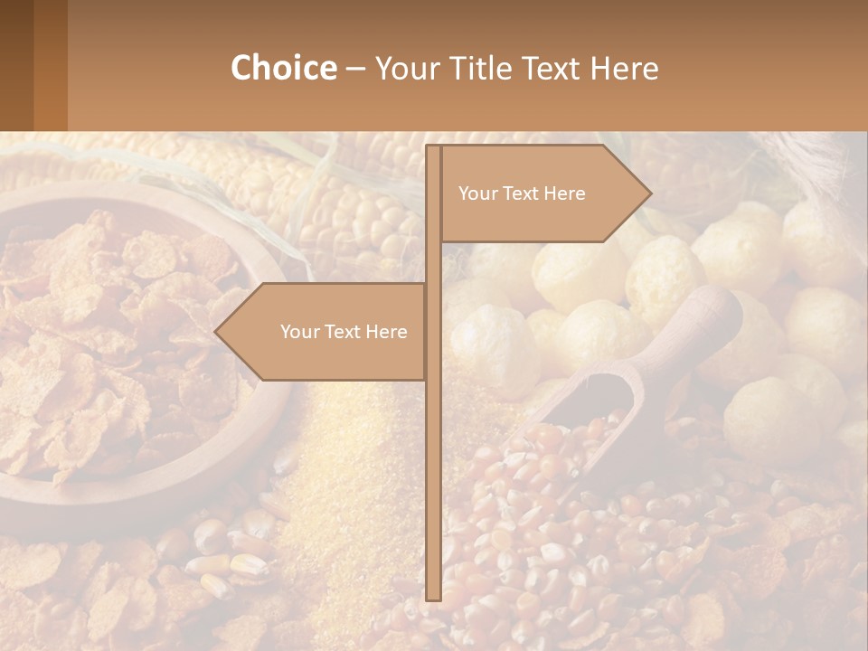 Climate Home House PowerPoint Template