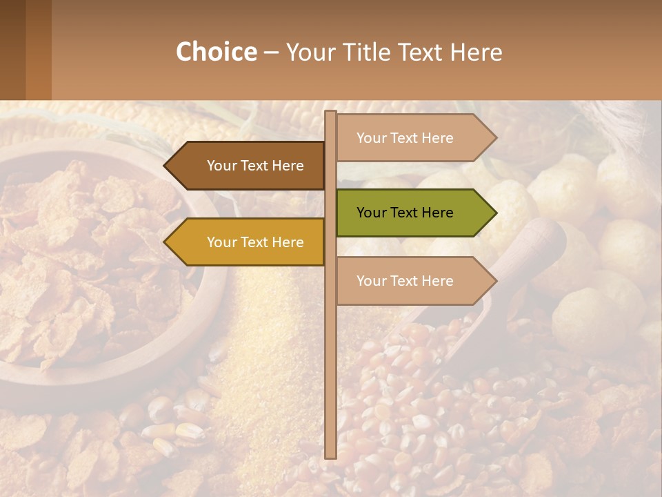 Climate Home House PowerPoint Template