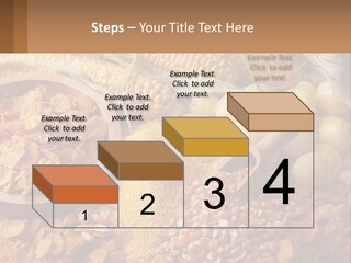 Climate Home House PowerPoint Template