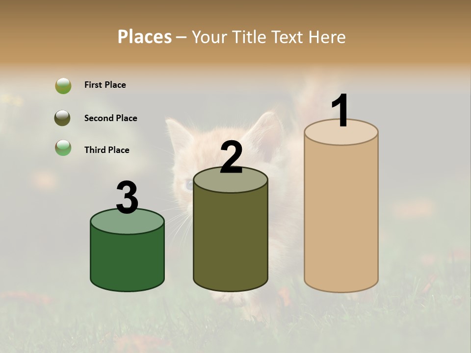 Switch Technology System PowerPoint Template