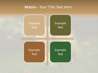 Switch Technology System PowerPoint Template