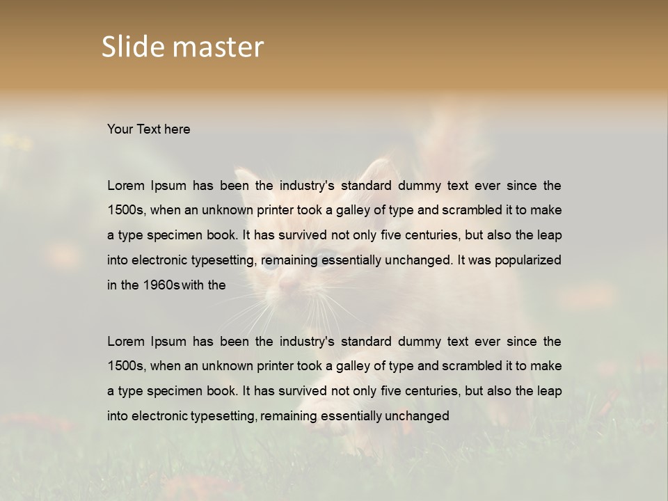 Switch Technology System PowerPoint Template