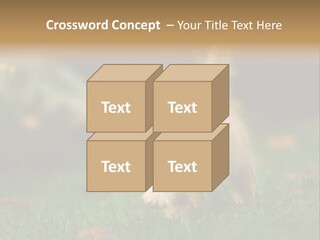 Switch Technology System PowerPoint Template