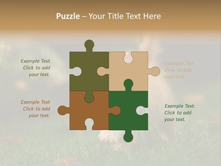 Switch Technology System PowerPoint Template
