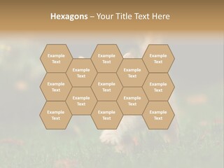 Switch Technology System PowerPoint Template