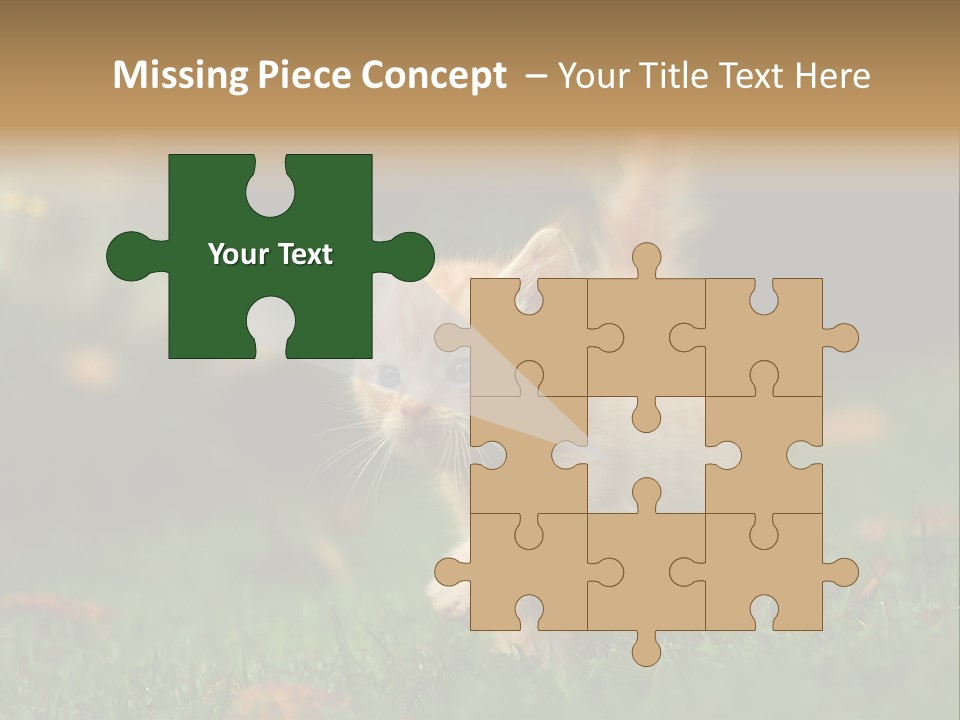 Switch Technology System PowerPoint Template