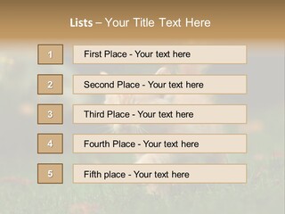 Switch Technology System PowerPoint Template