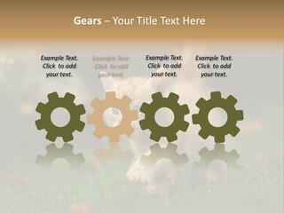 Switch Technology System PowerPoint Template