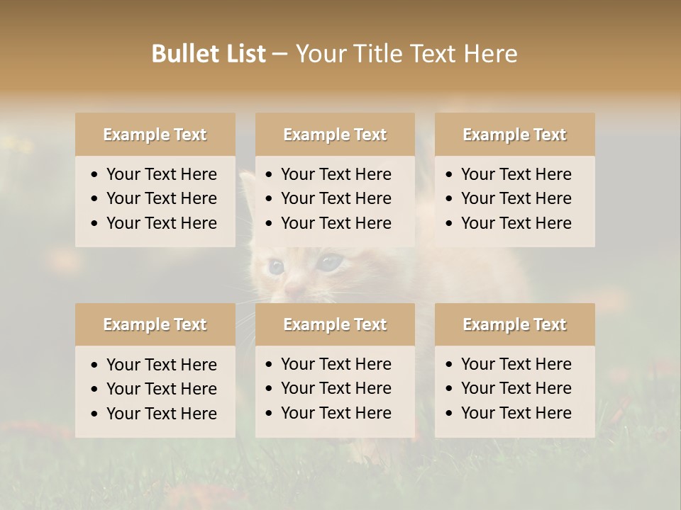 Switch Technology System PowerPoint Template
