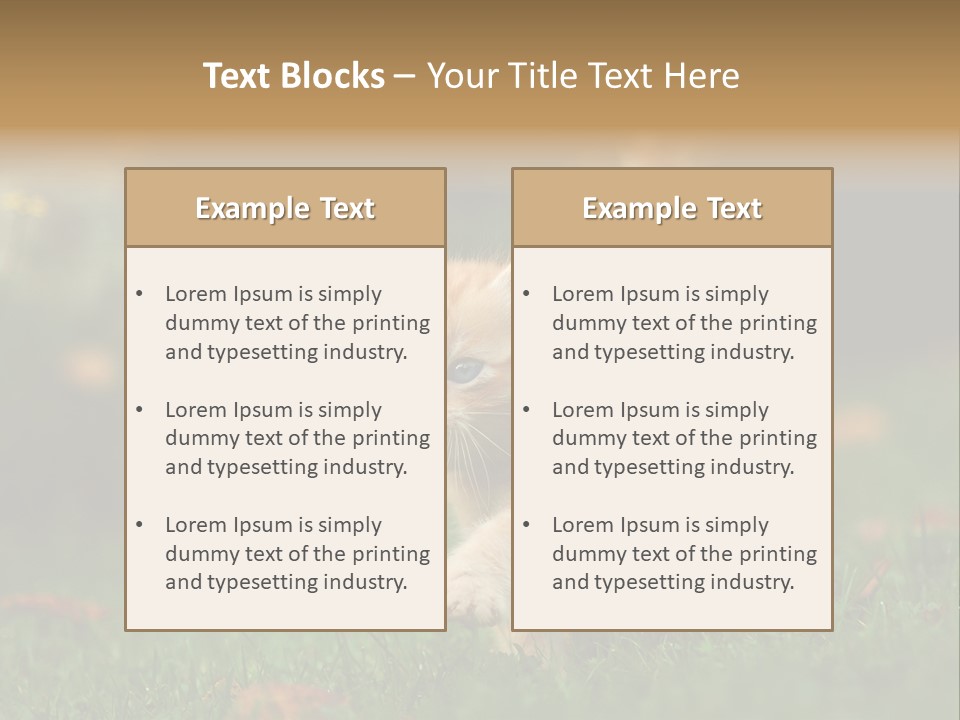 Switch Technology System PowerPoint Template