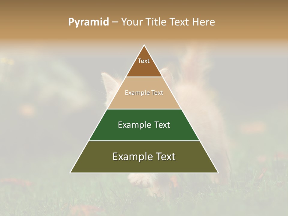 Switch Technology System PowerPoint Template