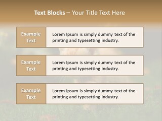 Switch Technology System PowerPoint Template