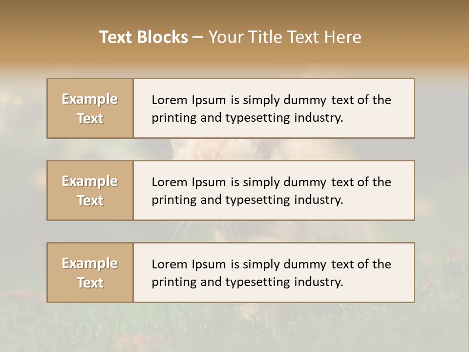 Switch Technology System PowerPoint Template