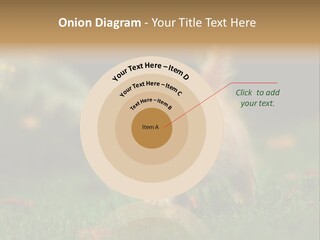Switch Technology System PowerPoint Template