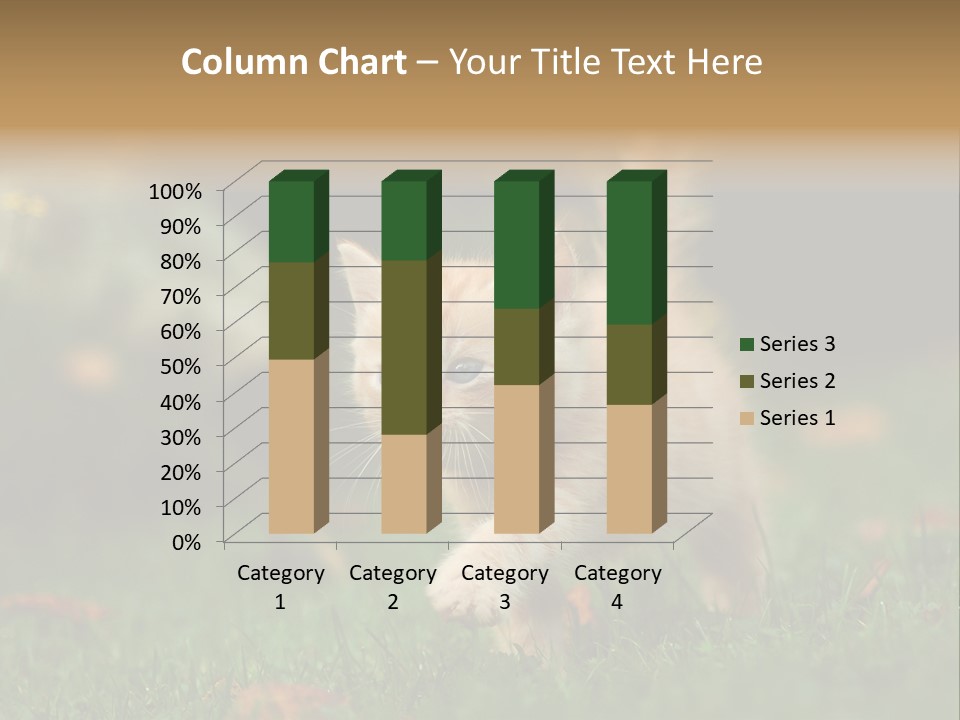 Switch Technology System PowerPoint Template