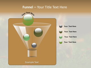 Switch Technology System PowerPoint Template