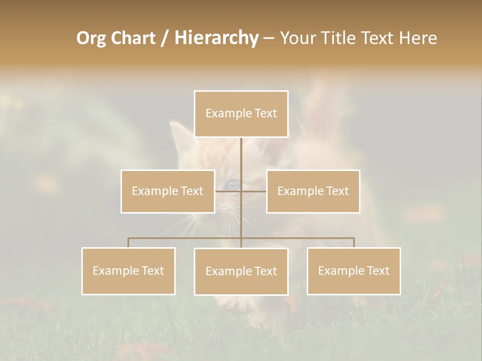 Switch Technology System PowerPoint Template