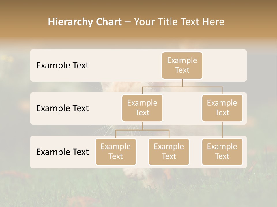 Switch Technology System PowerPoint Template