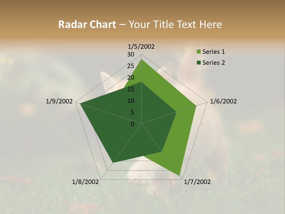 Switch Technology System PowerPoint Template