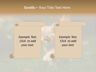 Switch Technology System PowerPoint Template