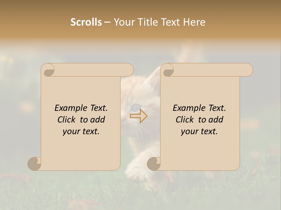 Switch Technology System PowerPoint Template