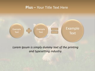Switch Technology System PowerPoint Template