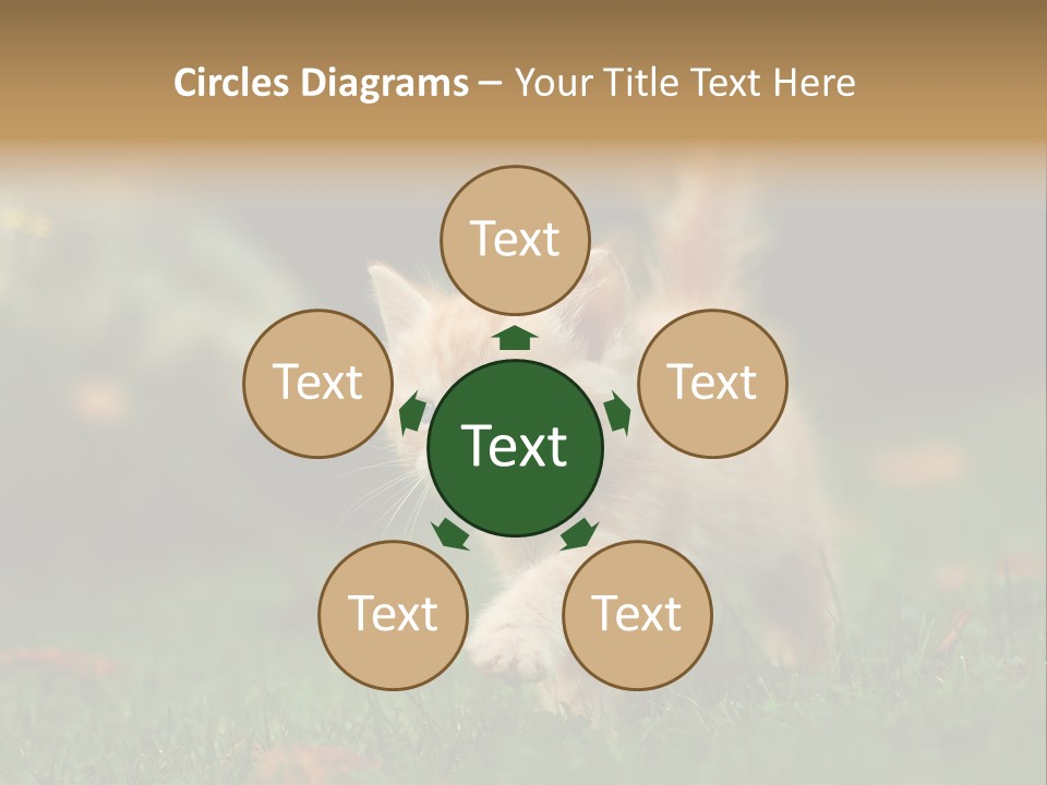 Switch Technology System PowerPoint Template