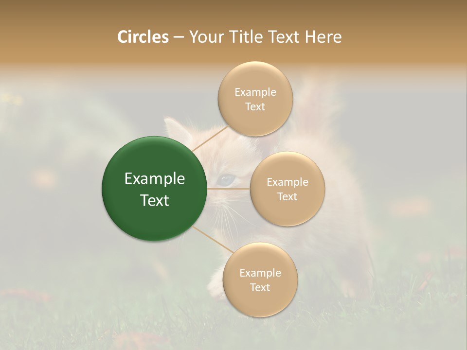 Switch Technology System PowerPoint Template