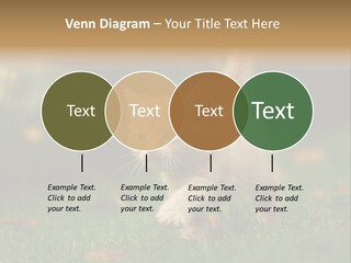 Switch Technology System PowerPoint Template